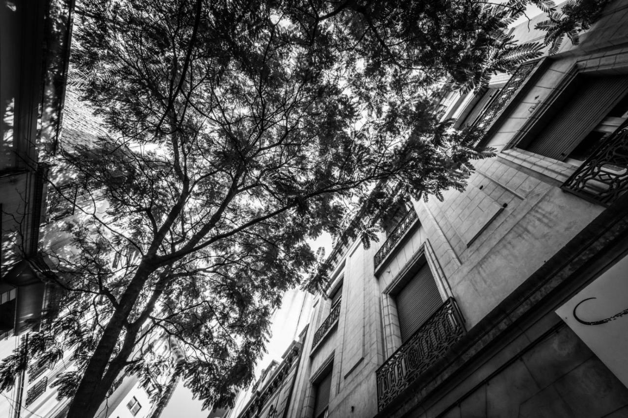 Sacha Mistol Art Hotel Cordoba Dış mekan fotoğraf